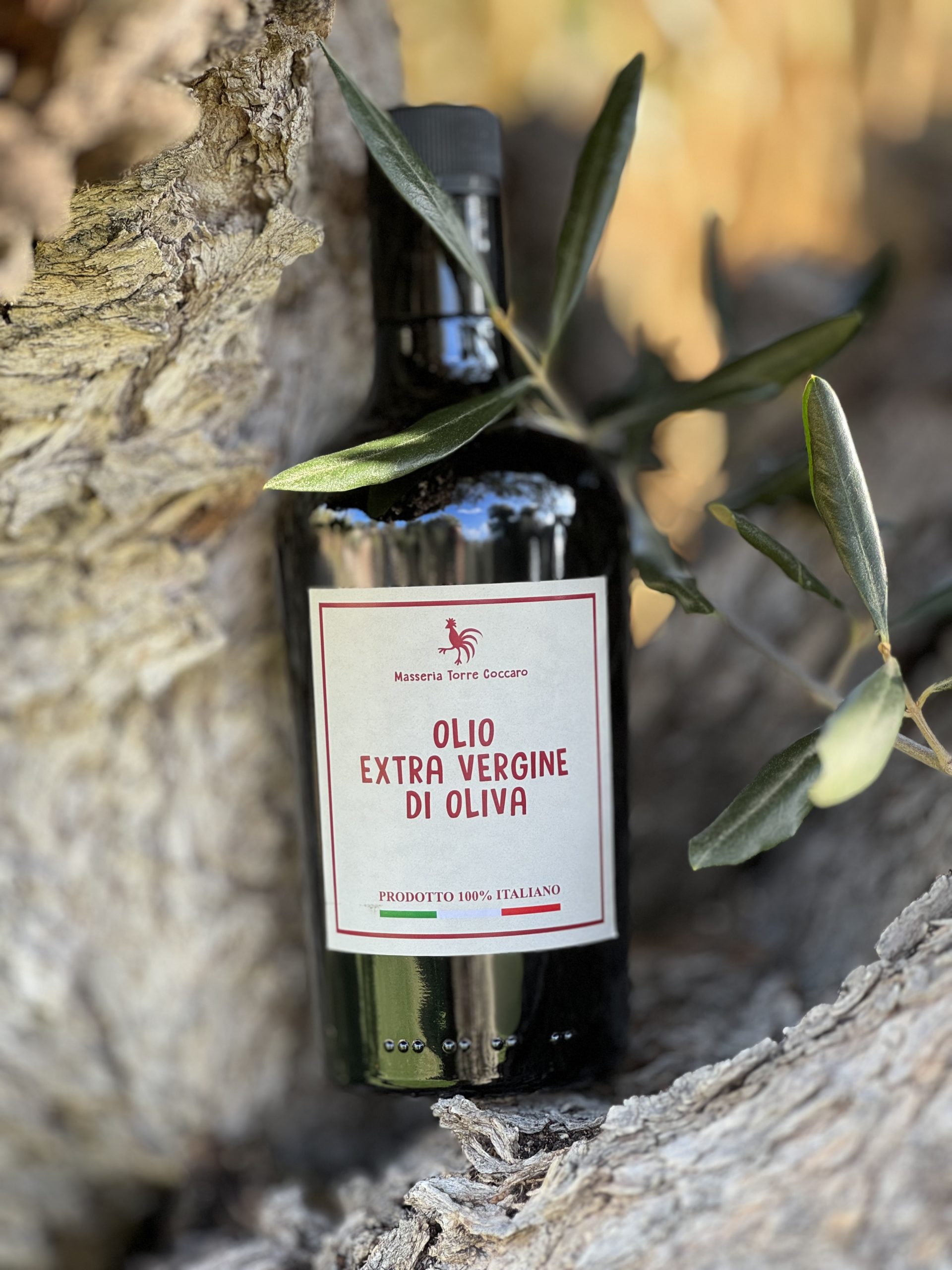 Olio Extravergine di Oliva (0,50cl)