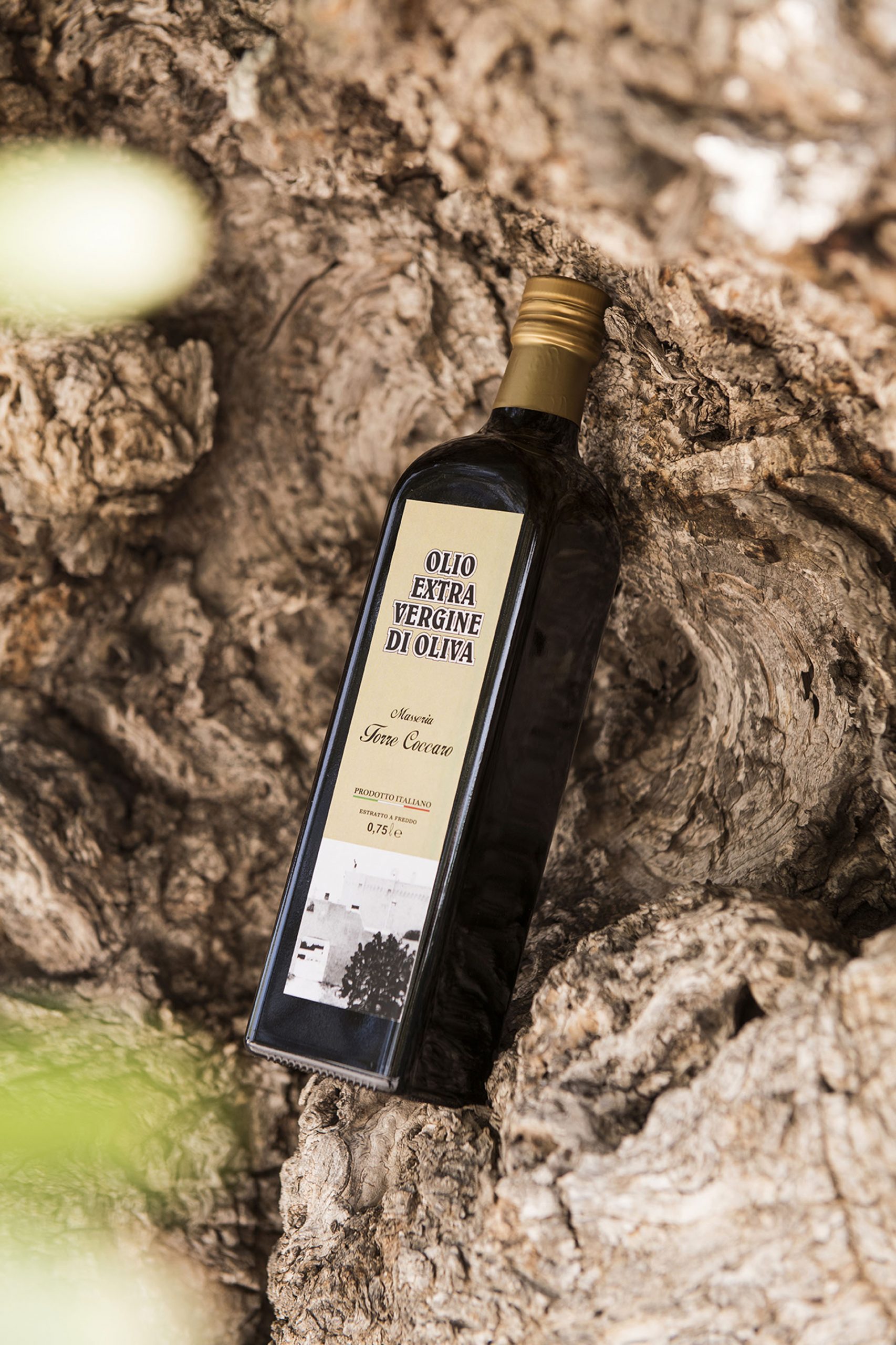 Category /  Extravirgin Olive Oil